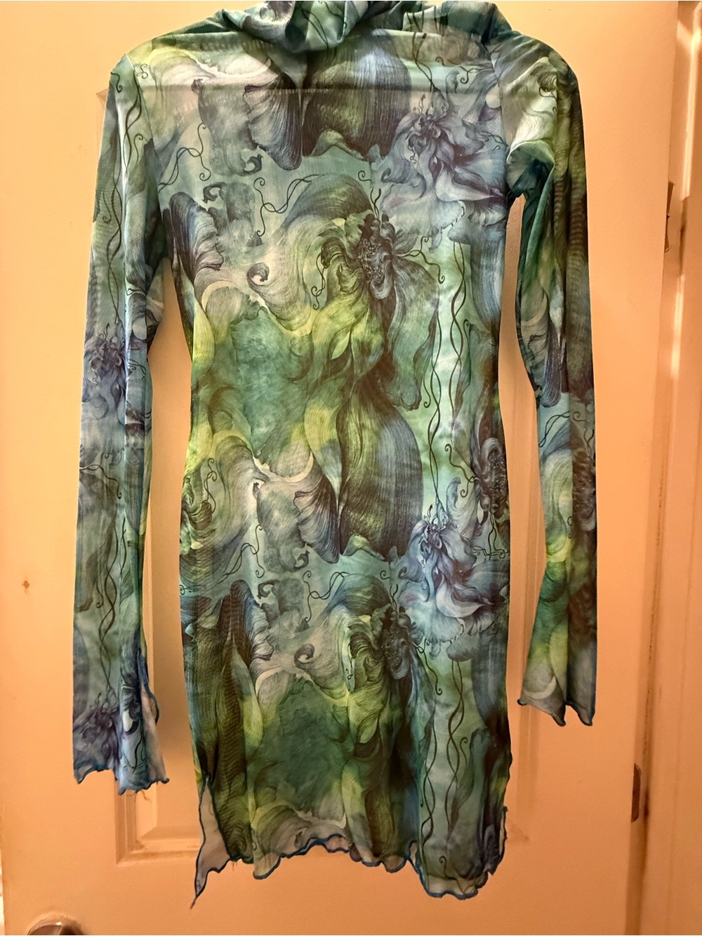 SHEIN Blue & Green Sheer Floral-Print Long-Sleeve Dress